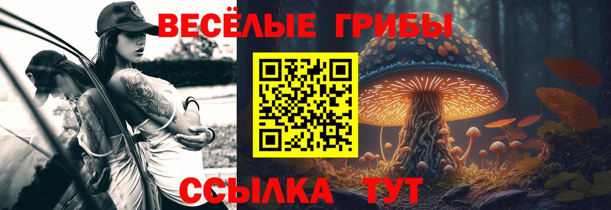 Светлоград  Галлюциногенные грибы Psilocybine cubensis  Псилоцибиновые грибы Cubensis  Вход с VPN 