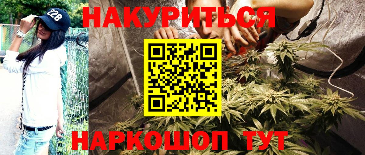 Светлоград  Конопля ГИДРОПОН  Конопля OG Kush  Каннабис Bruce Banner  Бошки Шишки тримм  Вход с VPN 